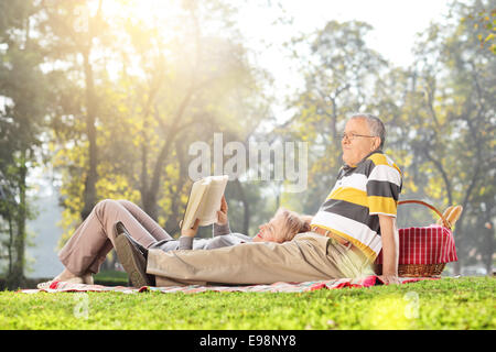 Älteres paar entspannen Sie sich auf ein Picknick im Park an einem schönen sonnigen Tag Stockfoto