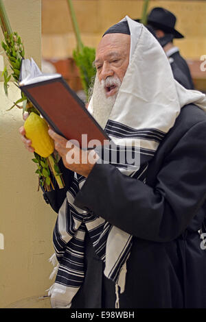 Einen religiösen jüdischen Mann mit einem Bart hält eine Esrog und Lulaw am Morgengebet in Crown Heights, Brooklyn, New York Stockfoto