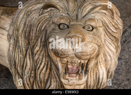 Lion Stockfoto