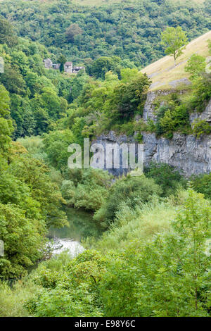 Der Fluss Wye fast von Bäumen im Miller's Dale in der Derbyshire Dales, White Peak, Peak District National Park, England, UK ausgeblendet Stockfoto
