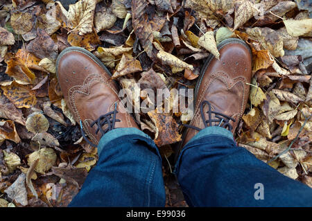 Mans Brogue-Stiefel Braun und blaue Jeans mit Turn-Ups, fotografiert von oben stehend in braunem Laub. Stockfoto