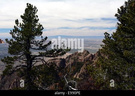 Entnommen aus einer Strecke an Spitze der Sandia Aerial Tram Sandia Berge von New-Mexico - USA Stockfoto