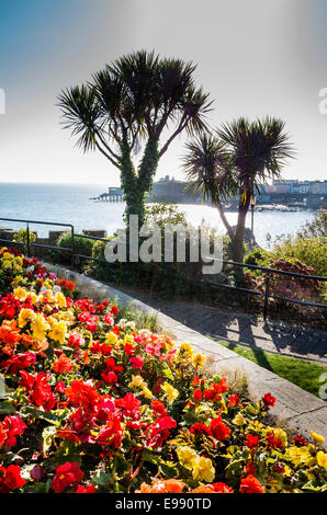 Am Meer Garten am Meer, in Tenby Dyfed UK Stockfoto