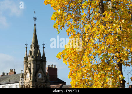 Die amerikanische Brunnen und Tulpenbaum im Herbst, London, UK Stockfoto