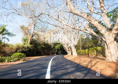 Neue Straßenasphalt Landschaft geteerten Straße weiße durchgezogene Linie mit Bäumen und Hecken in malerischen Wohngegend Stockfoto