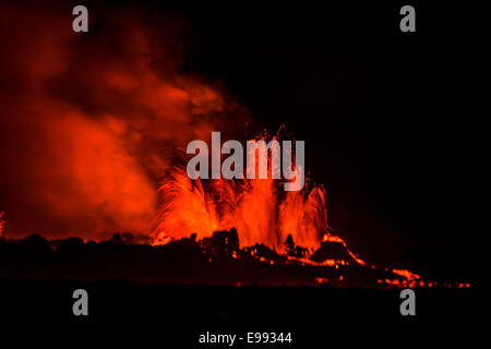 Lavafontänen nachts Eruption in der Holuhraun Spalte, in der Nähe der Bardarbunga Vulkan, Island.  29. August 2014 eine Fissur äh Stockfoto