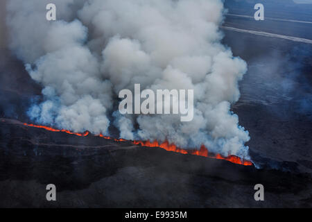 Lava und Federn aus den Holuhraun Riss, Vulkan Bardarbunga Island. Stockfoto