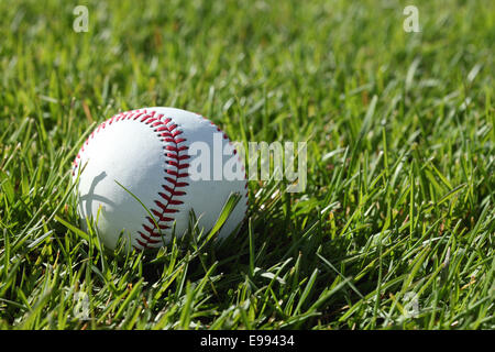 Eine Nahaufnahme von den roten Nähten auf einem Baseball, Verlegung in Grasgrün Stockfoto