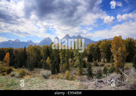 Die Teton Range Mountains im Grand Teton National Park, von Snake River in Wyoming USA gesehen Stockfoto