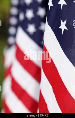 Amerikanische Flaggen in einer Reihe Stockfoto