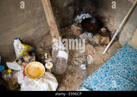 Temporäre Einwanderer aus Rumänien gekommen, um moralische de Calatrava, Ciudad Real, Spanien, in der Weinlese zu arbeiten. Stockfoto