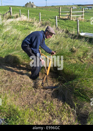 dh Farmer Schneiden lange Gras ERNTE UK traditionelle Farmarbeiter mit scythe in Feldarbeiter uk Landarbeiter schottland alte Landwirtschaft Methodensycthing Stockfoto