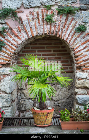 Dekor im historischen Dorf von Nessebar, Bulgarien. Stockfoto