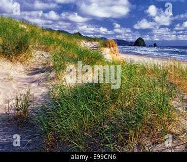 Düne Gräser Zeitpunkt Chapman mit Cumulus-Wolken vorbei über Haystack Rock und Cannon Beach an Oregons Küste von Norden. Stockfoto