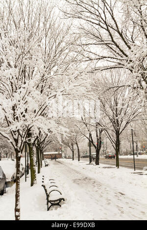 Februar 2014 Schneesturm auf der Eastern Parkway Weg in Crown Heights, Brooklyn Stockfoto