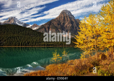 Herbst gold Aspen Wasservögel See mit Howse Peak und Mt Chephren in Alberta die kanadischen Rockies und Banff Nationalpark entlang. Stockfoto