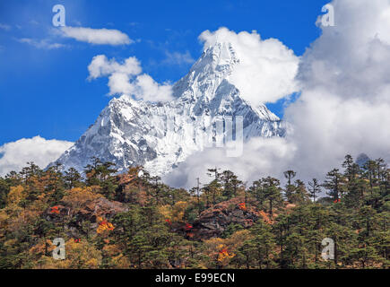 Herbstwald auf dem Hintergrund des Heiligen Peak (6814 m) Ama Dablam in Nepal Himalaya. Stockfoto