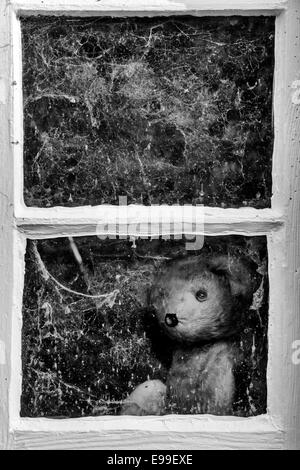 Fadenscheinig One Eyed Teddybär aus einem alten Schuppen Fenster bedeckt in Spinnweben. Monochrom Stockfoto