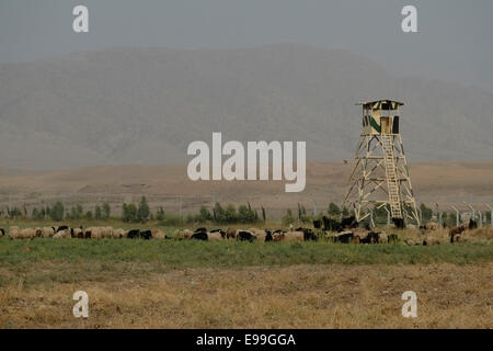 Schafe hüten in der Nähe eine kurdische Peshmerga militärische Verbindung in der Nähe von Dohuk Nordirak Stockfoto