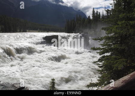 Athabasca Falls Stockfoto