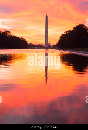 Brillante Sonnenaufgang über Widerspiegelnder Teich DC Stockfoto