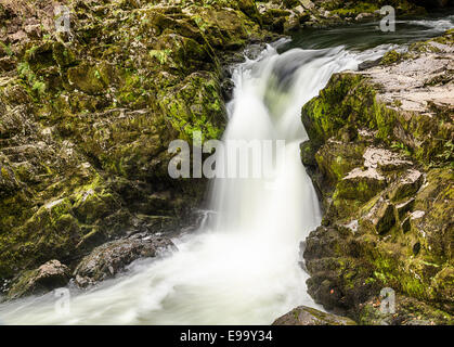 Skelwith Falls Wasserfall im Lake District Stockfoto