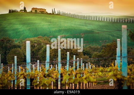 Ländliche Landschaft in Italien Toskana Stockfoto