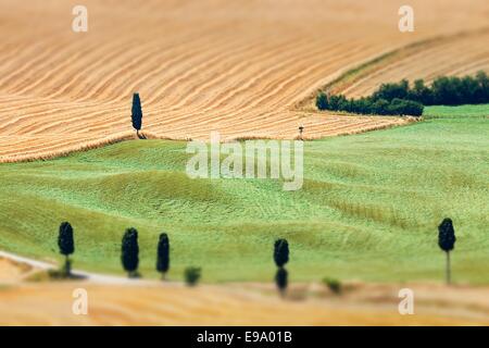 Landschaft in der Nähe der Stadt Pienza Stockfoto