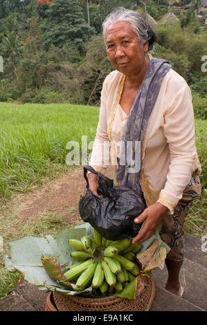 Eine Frau verkauft Bananen entlang der Reisfelder, die entlang dem Grat Campuan begleiten. Ubud. Bali. Campuhan ridge wa Stockfoto