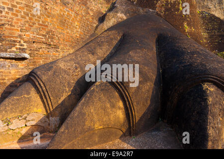 Closeup Lion Fuß Carving Sigiriya Eingang Stockfoto