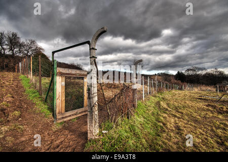 Offene Tür in einem Hof Stockfoto