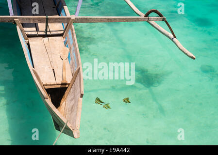 Drei von oben betrachtet, in der Nähe von traditionellen Holzboot schwimmt auf dem transparenten Meer der entlegenen Inseln Togean Falterfische Stockfoto