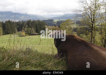 Blick ins Tal der Iller Stockfoto