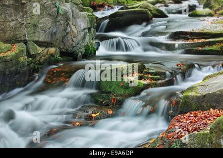 Kleine Kaskade auf Herbst Bergbach Stockfoto