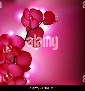 Rosa Orchideen Stockfoto