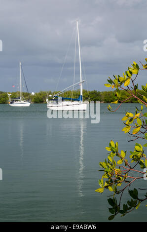 Yachten ankern in keinen Namen Hafen Florida Stockfoto