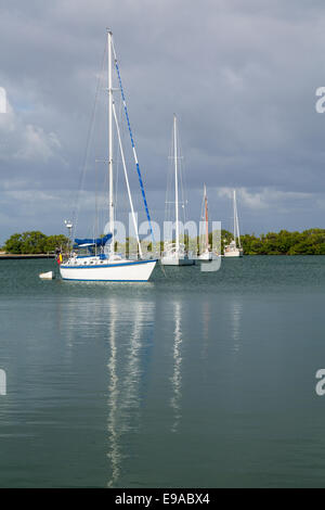 Yachten ankern in keinen Namen Hafen Florida Stockfoto