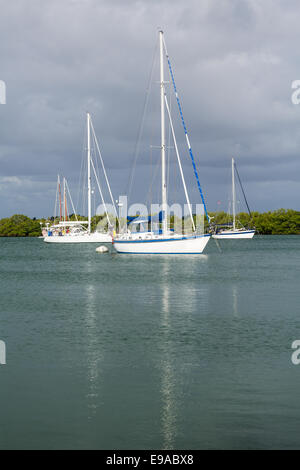 Yachten ankern in keinen Namen Hafen Florida Stockfoto