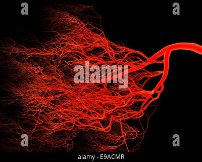 Nervöse oder Blut System der Arterie und Vene. Medizinische 3d illustration Stockfoto