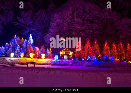 Weihnachtsbeleuchtung auf Kapelle und Bäume Stockfoto