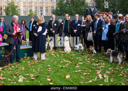 London, 23. Oktober 2014. Organisiert von den Dogs Trust und der Kennel Club, versammeln sich Politiker und ihre Pooches außerhalb des Parlaments für die 22. Westminster Dog of the Year Wettbewerb, zur Sensibilisierung der Hund wohl im Vereinigten Königreich, wo die Hunde Vertrauen mehr als 16.000 streunenden und verlassene Hunde jährlich kümmert sich um. Bild: Konkurrenten und ihre Besitzer warten auf die Gewinner von 2013 Gewinner Rt Hon Sir Alan Duncan MP, (links) und seinem Hund Noodle bekannt gegeben. Bildnachweis: Paul Davey/Alamy Live-Nachrichten Stockfoto