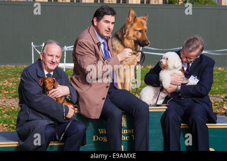 London, 23. Oktober 2014. Organisiert von den Dogs Trust und der Kennel Club, versammeln sich Politiker und ihre Pooches außerhalb des Parlaments für die 22. Westminster Dog of the Year Wettbewerb, zur Sensibilisierung der Hund wohl im Vereinigten Königreich, wo die Hunde Vertrauen mehr als 16.000 streunenden und verlassene Hunde jährlich kümmert sich um. Bild: Auf dem Podium, auf dem dritten Platz, Wurst, im Besitz von Laurence Robertson MP (Tewkesbury), Sieger Diesel, im Besitz von Rob Flello MP (schüren - auf-Trent South) und im zweiten Chief Whip Michael Gove Bichon Snowy. Bildnachweis: Paul Davey/Alamy Live-Nachrichten Stockfoto