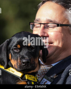 London, 23. Oktober 2014. Organisiert von den Dogs Trust und der Kennel Club, versammeln sich Politiker und ihre Pooches außerhalb des Parlaments für die 22. Westminster Dog of the Year Wettbewerb, zur Sensibilisierung der Hund wohl im Vereinigten Königreich, wo die Hunde Vertrauen mehr als 16.000 streunenden und verlassene Hunde jährlich kümmert sich um. Bild: Martin Horwood MP posiert mit George, eine Dogs Trust Rettung Rottweiler Welpen. Bildnachweis: Paul Davey/Alamy Live-Nachrichten Stockfoto