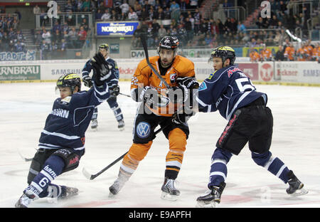 Ingolstadt, Bayern, Deutschland. 22. Oktober 2014. vom linken 6Michel PERIARD/CAN/Lngolstadt, 22Matt DZIEDUSZYCKI/CAN/Wolfsburg, 52Patrick HAGER/Ingolstadt.German Hockey League.ERC Ingolstadt Vs EHC Wolfsburg. Ingolstadt, Saturn Arena, October22, 2014.the Landesmeister Ingolstadt erhält einer der Favoriten für diese Saison, © Wolfgang Fehrmann/Wolfgang Fehrmann/ZUMA Draht/Alamy Live News Stockfoto