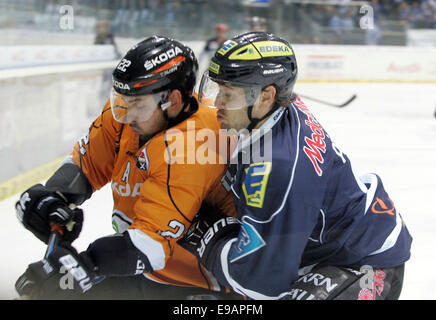 Ingolstadt, Bayern, Deutschland. 22. Oktober 2014. von links 22Matt DZIEDUSZYCKI/CAN/Wolfsburg, 6Michel PERIARD/CAN/Lngolstadt. Deutsche Hockey League.ERC Ingolstadt Vs EHC Wolfsburg. Ingolstadt, Saturn Arena, October22, 2014.the Landesmeister Ingolstadt erhält einer der Favoriten für diese Saison, © Wolfgang Fehrmann/Wolfgang Fehrmann/ZUMA Draht/Alamy Live News Stockfoto