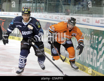 Ingolstadt, Bayern, Deutschland. 22. Oktober 2014. von links 34Benedikt KOHL/Ingolstadt, 49Mark VOAKES/CAN/Wolfsburg. Deutsche Hockey League.ERC Ingolstadt Vs EHC Wolfsburg. Ingolstadt, Saturn Arena, October22, 2014.the Landesmeister Ingolstadt erhält einer der Favoriten für diese Saison, © Wolfgang Fehrmann/Wolfgang Fehrmann/ZUMA Draht/Alamy Live News Stockfoto