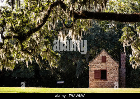 Ein Slave-Kabine unter spanischem Moos bei Boone Hall Plantation in Mt. Pleasant, South Carolina. Stockfoto