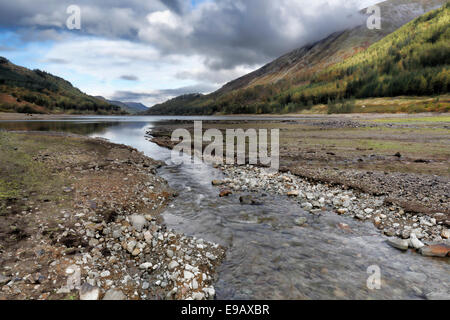 Kleine stream läuft in einem stark dezimierten thirlmere im Lake District, Cumbria, Großbritannien Stockfoto