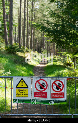 Forest Walk geschlossen Zeichen durch Wald Operationen in einem schottischen Waldgebiet. Schottland Stockfoto