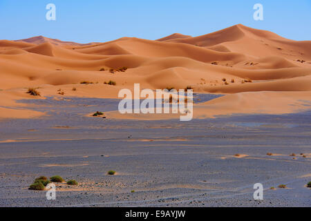 Sanddünen, Erg Chebbi, Merzouga, Wüste Sahara, Marokko Stockfoto